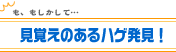 見覚えのあるハゲ発見！